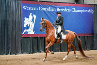 WCB June 26, 2026 - 4268