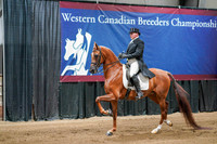WCB June 26, 2026 - 4269