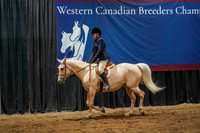 WCB June 26, 2026 - 5204