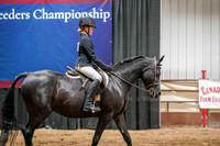21 - WCB A/HA/AA Walk/Trot Hunter/English/Country Pleasure 10yrs & Under CH