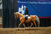 WCB June 26, 2026 - 5198