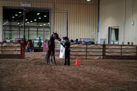 23 - WCB Showmanship JTH Championship