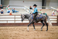 26 - WCB Arabian Ranch Horse Rail Pleasure – Jr. Horse Championship