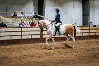 30 - WCB Arabian Sport Horse Show Hack ATR Championship