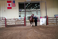 32 - WCB Arabian Stallions Breeding 3yrs & Over - OPEN- Championship