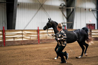 33a - WCB Arabian Mares Breeding 2yrs Old - OPEN - Championship