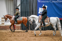38 - WCB Arabian Western Pleasure AAOTR Championship
