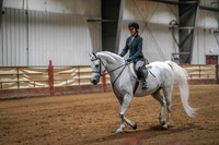 35 - WCB Arabian Sport Horse Under Saddle AOTR Championship