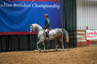 40 - WCB HA/AA Hunter Pleasure OPEN Championship