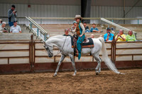 42 - WCB HA/AA Western Pleasure ATR Championship
