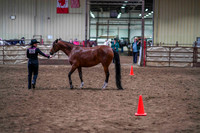 49 - WCB A/HA/AA Showmanship AATH Championship - (Pattern- Level 2 - L)