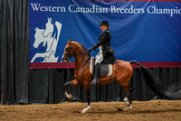 WCB June 27, 2026 - 0531