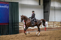 52 - WCB HA/AA Country English Pleasure JTR Championship