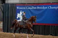 WCB June 27, 2026 - 0694