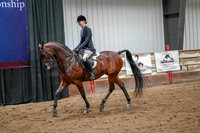 54 - WCB Arabian Hunter Pleasure JOTR Championship