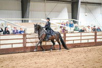 54a - WCB HA/AA English Pleasure JTR Championship