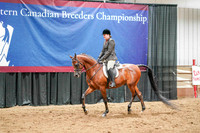 56 - WCB Arabian Hunter Pleasure OPEN Championship