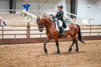 58 - WCB HA/AA Sport Horse Show Hack OPEN Championship