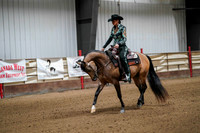 60 - WCB HA/AA Western Pleasure Junior Horse Championship