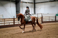 62 - WCB HA/AA Ladies Side Saddle English/Western ATR Championship