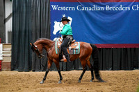 63a - WCB Arabian Western Pleasure Ladies & Gentlemen to Ride Championship