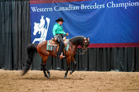 WCB June 27, 2026 - 1891