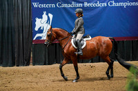 61 - WCB A/HA/AA Walk/Trot Equitation 10yrs & Under Hunt/Saddle Seat Championship
