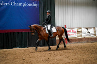 73 - WCB HA/AA Sport Horse Under Saddle AOTR Championship