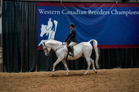 WCB June 27, 2026 - 2353