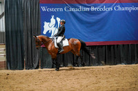 WCB June 27, 2026 - 2360