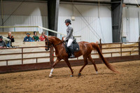 73a - WCB Arabian Sport Horse Under Saddle JTR Championship