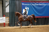 WCB June 27, 2026 - 2648