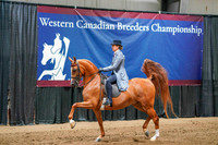 WCB June 27, 2026 - 2657