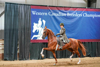 WCB June 27, 2026 - 2667