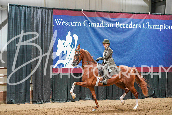 WCB June 27, 2026 - 2667