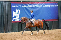 WCB June 27, 2026 - 2984