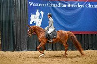 WCB June 27, 2026 - 3276