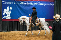 504 -  PARKLAND A/HA/AA - ATR/JTR Western Pleasure JACKPOT
