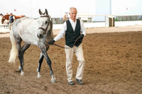 03 - Sport horse in hand outside covered arena -  11:40am - 12:10 pm