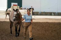 04 - Sport horse in hand outside covered arena - 12:10 - 12:40 pm