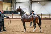 WCB June 28, 2026 - 239