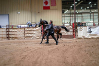 77 - WCB HA/AA Yearling Fillies – OPEN - Championship