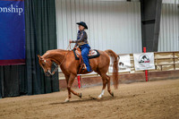 79 - WCB HA/AA Western Pleasure AAOTR Championship
