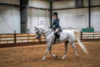 81 - WCB Arabian Sport Horse Under Saddle ATR Championship