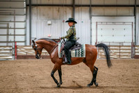 83 - WCB Arabian Western Pleasure ATR Championship