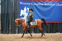 WCB June 28, 2026 - 675