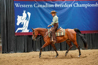 86 - WCB HA/AA Ranch Horse Rail Pleasure OPEN Championship