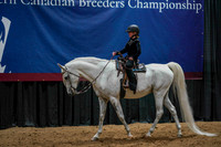 87 - WCB A/HA/AA Walk/Jog Western Seat Equitation 10yrs & Under CH