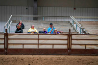 91 621 WCB HA/AA Western Pleasure OPEN Championship