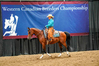 92 - WCB Arabian Ranch Horse Rail Pleasure ATR Championship